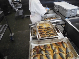 給食