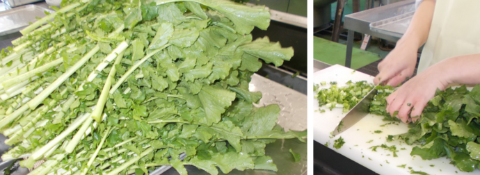 11月14日給食の調理写真