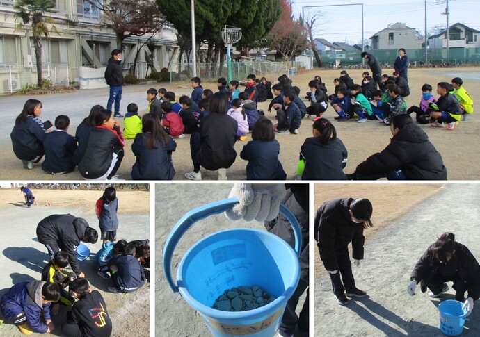 芝生メンテナンス