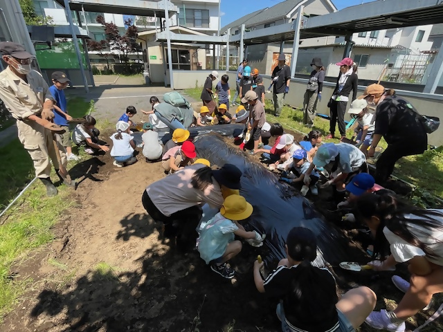 6月5日（木曜日）芋の苗植え