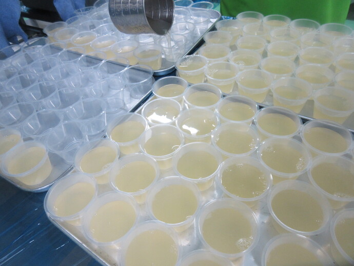 はちみつぜリー