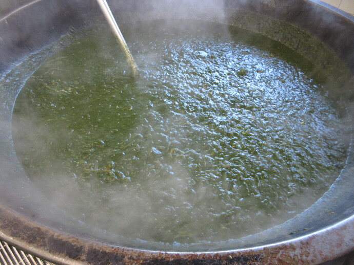 ほうれん草カレー