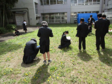 写真　野草
