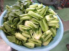 写真　給食
