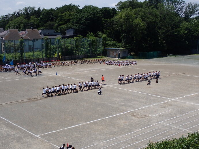 写真