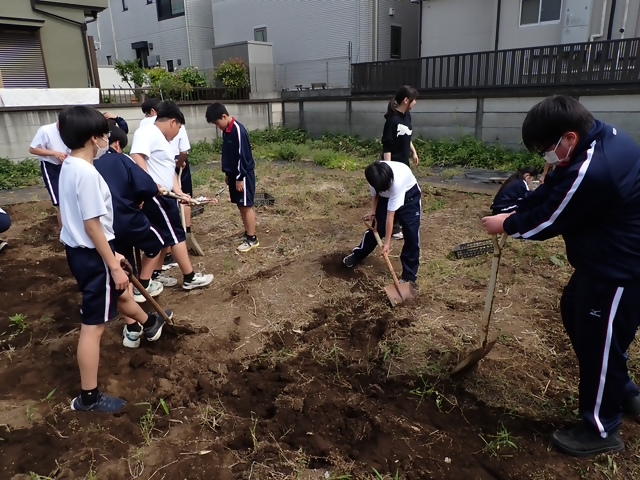 写真