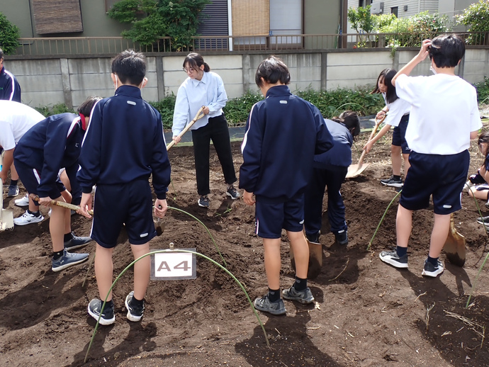 写真