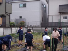 写真