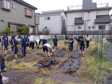 写真