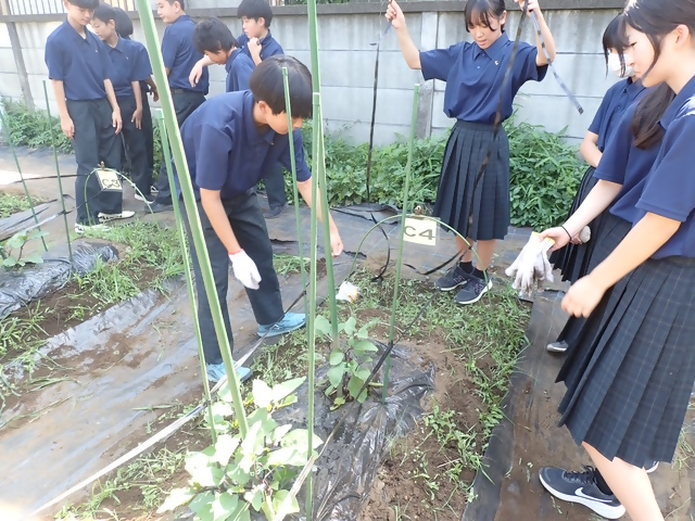 写真