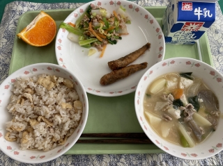 給食