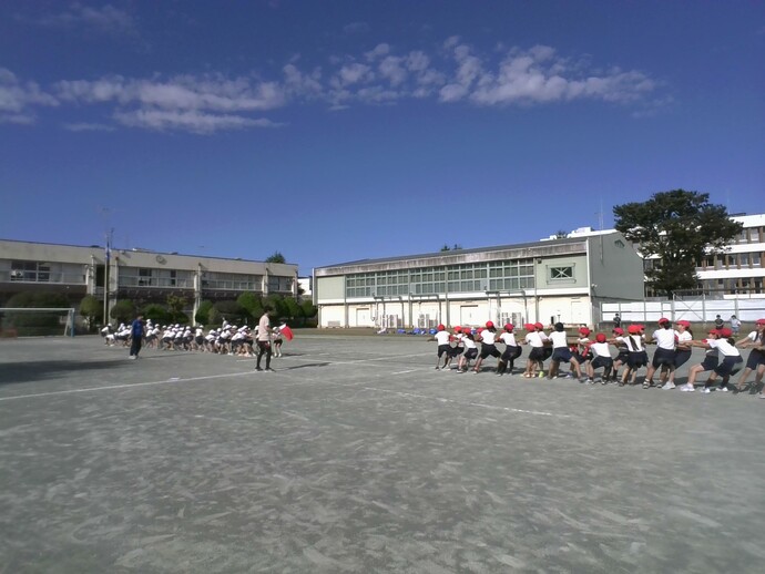 shashin
