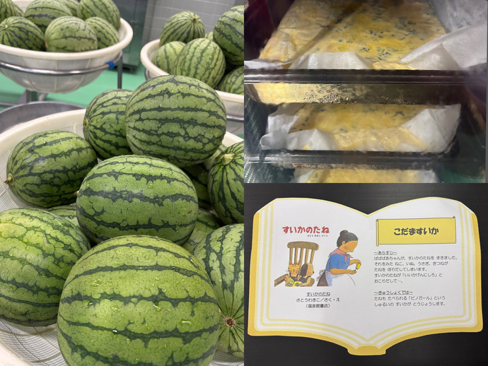 もりもり通信
