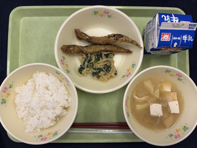 もりもり通信