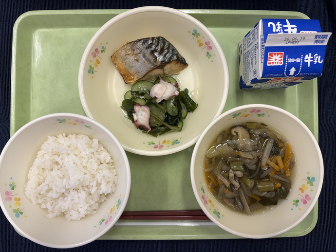 もりもり通信