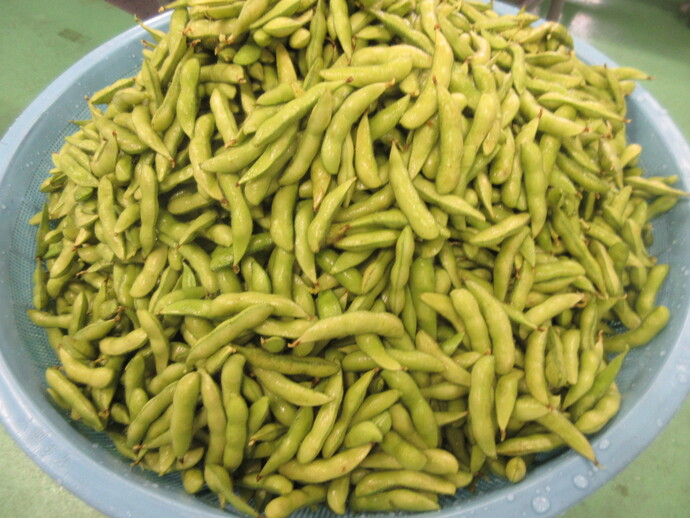 枝豆