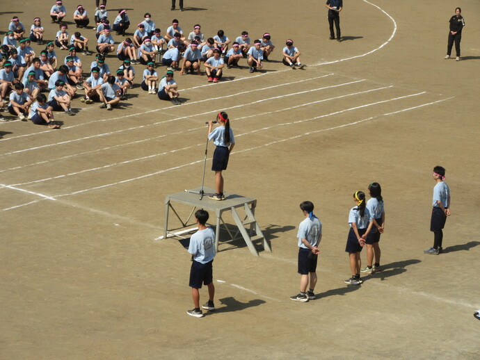 写真