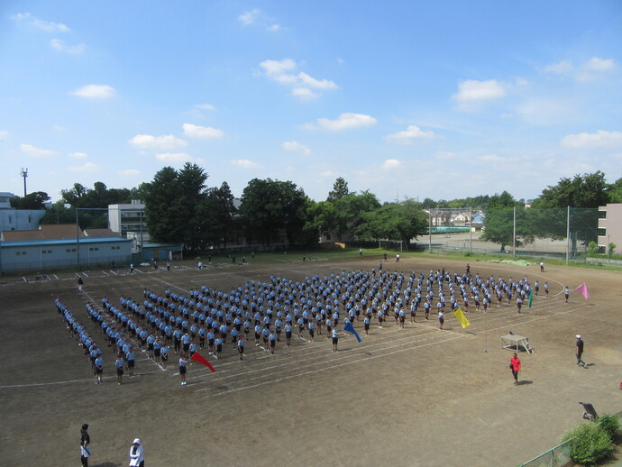 写真