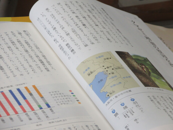 写真