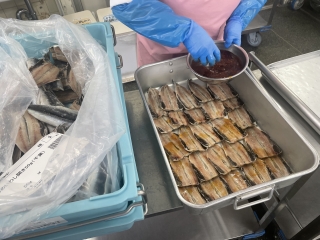 給食