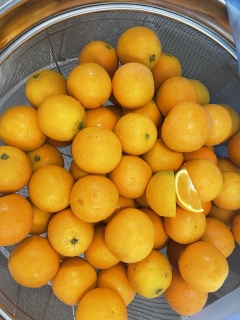 給食