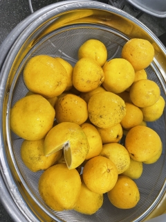 給食