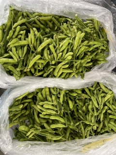 給食