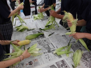 給食