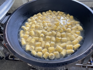 給食