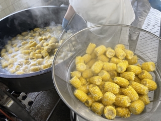 給食