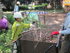 里