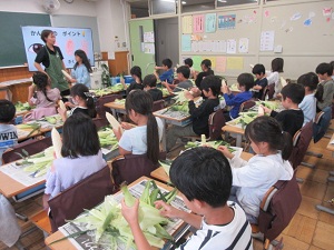 かわ