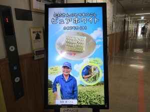 かわ