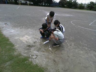 4siense1