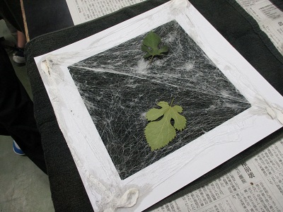 silk2