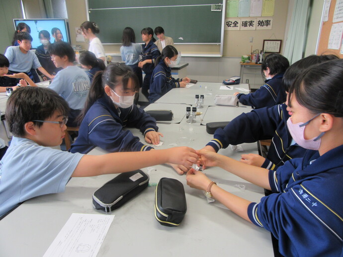 写真