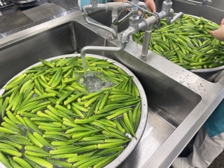 給食