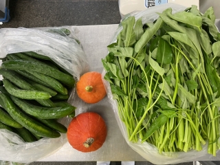 給食