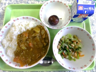 給食
