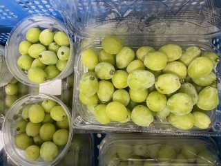 給食