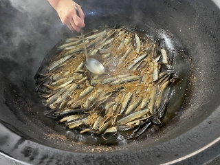 給食